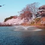 【今が旬】新潟県穴場デートスポット12選【地元イチオシ】