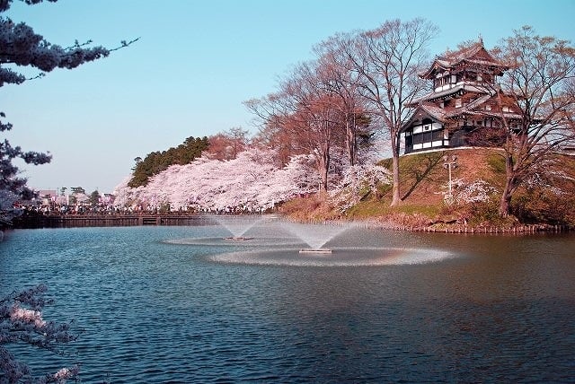 【今が旬】新潟県穴場デートスポット12選【地元イチオシ】