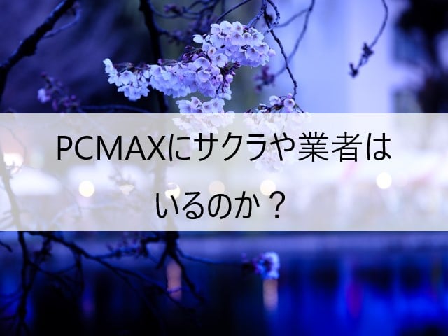 PCMAXにサクラや業者はいるのか?